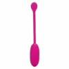 CALEXOTICS RECHARGEABLE KEGEL BALL ADVANCED