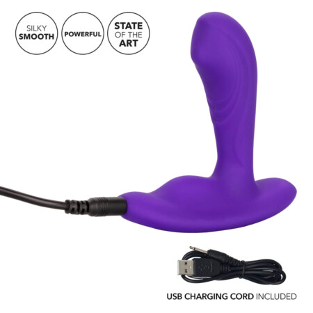 CALEXOTICS SILICONE REMOTE POINT PLEASER