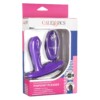 CALEXOTICS SILICONE REMOTE POINT PLEASER