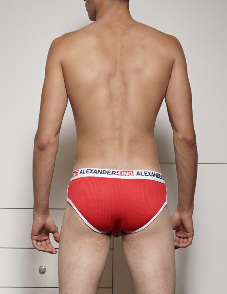 TP0022-V-BRIEF-ROJO-AZUL-MARINO-ALEXANDERSKING.jpg BRIEF ROJO AZUL MARINO UNWET ALEXANDERS KING